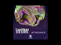 Tantrum Desire - In the Dance