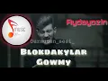 Aydayozin-Blokdakylar gowmy