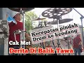 Download Lagu Cak Met Ft Gerry Mahesa - Derita Di Balik Tawa New Pallapa