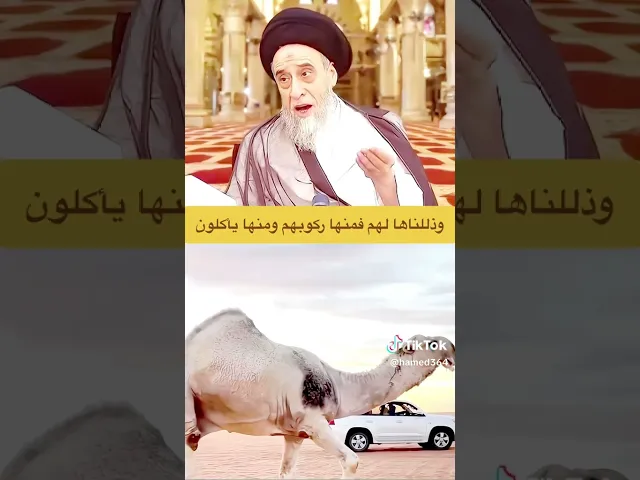 ⁣السيد صباح شبرقصه جميله + كيف ذلل الله الجمل للانسان