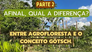 Afinal, qual a diferença entre agrofloresta e o conceito Götsch ? PARTE 2.