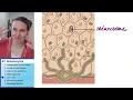 Melanocyte 5 - Skin color