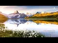 Download Lagu 〖NEW SONG〗I Cry Aloud to You 간구하옵나이다 ▷ WMSCOG, Ahnsahnghong | 하나님의 교회, 안상홍님
