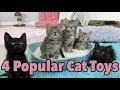 Kitten Playtime with Laser Pointer and More 4 Popular Cat Toys and How To Use Them