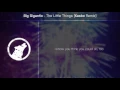 Big Gigantic - The Little Things (Kasbo Remix) [Lyrics]