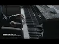 Alfonso Peduto - Binary Data VI Live Disklavier realtime delays