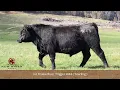 Lot 8 New River Trigger W44