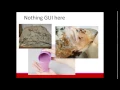 Understanding Backups