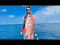 Texas Offshore Fishing for Red Snapper Mahi-Mahi and Barracuda