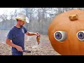 How To Grow a Pumpkin Patch Without Fixing All Your Lousy Soil