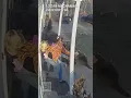 Mom saves daughter from rabid racoon