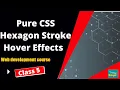 web designing css course Pure CSS Hexagon Stroke Hover Effects CLASS 5 they says