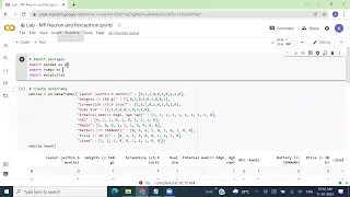 Perceptron Learning Algorithm Python Hands On