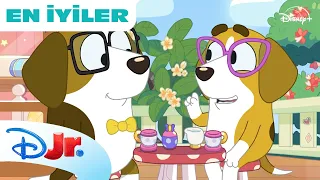 Mini Bölümler | Bluey | @DisneyPlusTR