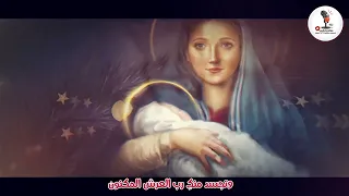 امدح في البتول فريق الشهيد ابو فام دندنها