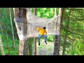 Download Lagu I Built a Plastic Wrap Treehouse