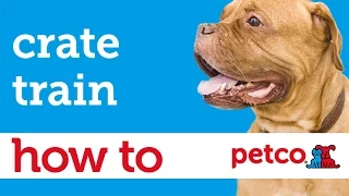 How to Crate Train Your Puppy Petco