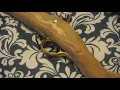 Pedersoli Brown Bess Kit - 2 the musket
