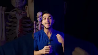تعمل ايه في الم العضلات الي بيكون تاني يوم بعد التمرين   دندنها