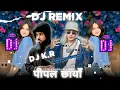 Lagu Vten Rap Remix_-_pipal chhya Hard Electro Bass Remix By Dj K.R Dhangadhi-13,Kailali