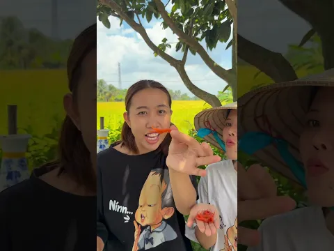 CÓ TÔM HÙM THIỆT K #tuilalone