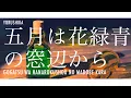 Download Lagu Yorushika - 五月は花緑青の窓辺から Gogatsu wa Hanarokushou no Madobe Kara | Lyrics + Translation!