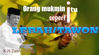 Download Orang mukmin itu Seperti LEBAH||K.H Zaenudin Mz# ceramah sejuta umat MP3