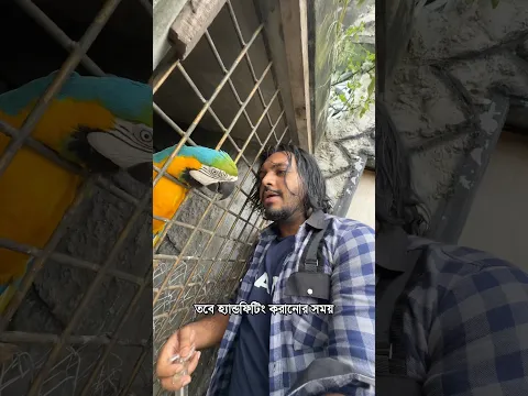 পৃথিবীর যে অবস্থা,,আমার কাছে মনে হয়,,এই পেশাই ঠিক আছে,,, #doggosage