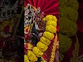 Download Lagu Tere Dar ko Mai chod kaha jau #jaimatadi @LakhbirSinghLakha