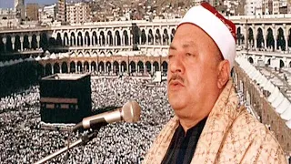 الشيخ محمد الطوخى   يحن إلى أرض الحجاز فوادى دندنها