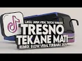 Download Lagu TRESNO TEKANE MATI - Remix Slow Viral TikTok Jawa 2025 | Lagu Jawa Paling Bikin Baper!