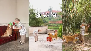 想念小時候的夏天，那裏有兒時的念想，有外婆滿滿的愛❤️#金毛路虎