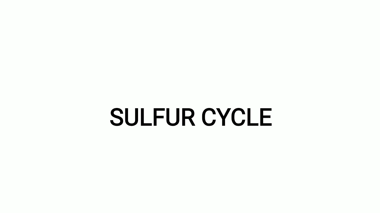 Sulfur Cycle (Environment Microbiology)