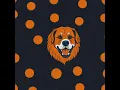 Orange dog