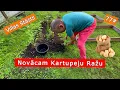 Download Lagu 77# Novācam Kartupeļu Ražu - Opel Remonts Izgāzās  | Villas Stāsts