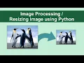 Image Processing in Python Resizing Image using Python Open CV Tutorial