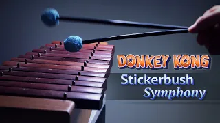 Download Donkey Kong - Stickerbrush Symphony 🎨 MP3