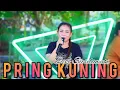 Download Lagu Pring Kuning ( devi susilawati ) Edisi Latihan Prabu Danan Jaya 2024