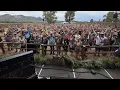 Lisa Bella Donna - Beyond The Sun live at Field of Vision
