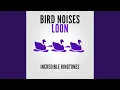 Download Lagu Suara Burung (Loon)