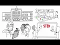 What is STEM