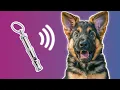 Dog Whistle Sound - Ultrasonic Sound for Dogs to React