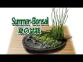 Download Lagu Summer Bonsai 夏の盆栽