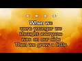 The Lumineers - Flowers In Your Hair (Karaoke)