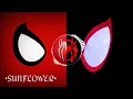 Sunflower Post Malone ft Swae Lee Remix-Mashup Into The Spiderverse Enjoy