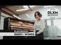 Download Lagu Birdy - Wings @ DELUXE MUSIC SESSION