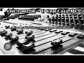 Shaboozey, BigXthaPlug - Drink Don't Need No Mix (Official Video) / Clean Version