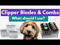 Dog Grooming Clipper Blades And Combs - What s The Difference What Should I Use