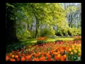 Download Lagu Maher zain paradise lyrics