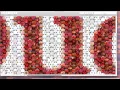 How to Make a Photo Mosaic from a Logo TurboMosaic